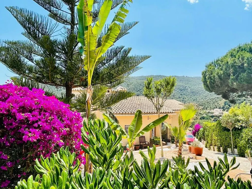 Villa Reina By Costabravaway Calonge